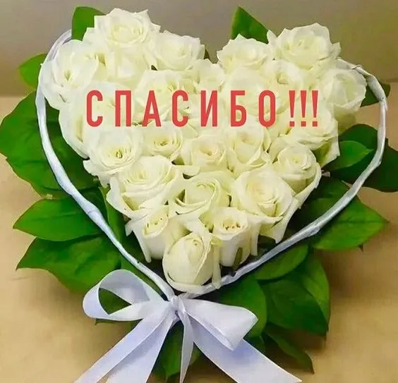 Картинки и гифки "Спасибо" красивые и прикольные. Картинки с надписями Спасибо