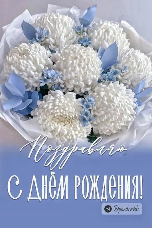 Картинки с Днем рождения женщине . Красивые открытки с Днем рождения женщине