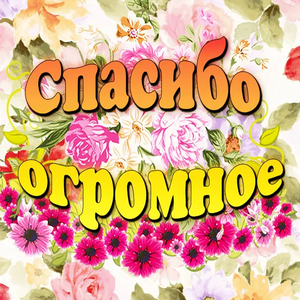Картинки и гифки "Спасибо" красивые и прикольные. Картинки с надписями Спасибо