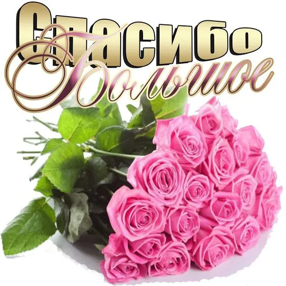 Картинки и гифки "Спасибо" красивые и прикольные. Картинки с надписями Спасибо