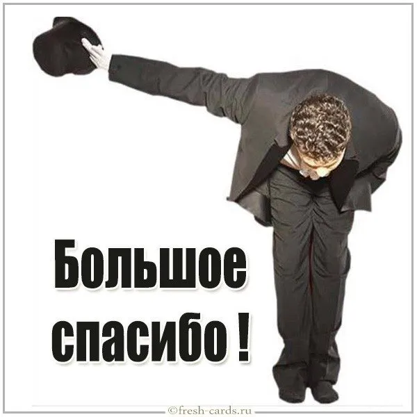 Картинки и гифки "Спасибо" красивые и прикольные. Картинки "Спасибо" прикольные