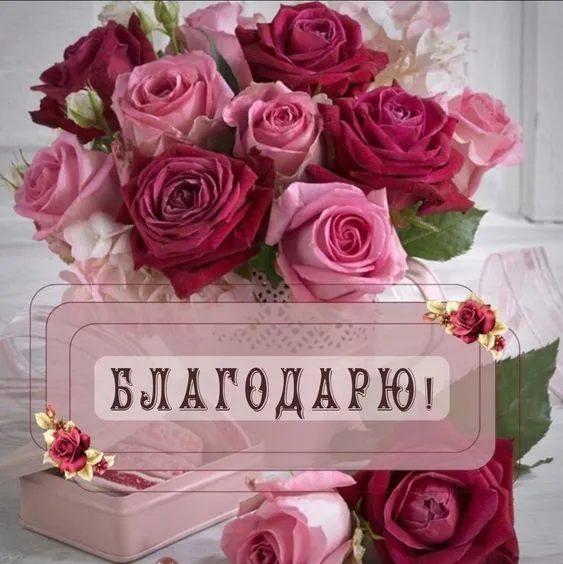 Картинки и гифки "Спасибо" красивые и прикольные. Картинки с надписями Спасибо
