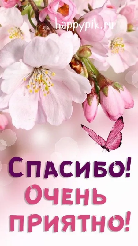 Картинки и гифки "Спасибо" красивые и прикольные. Картинки с надписями Спасибо