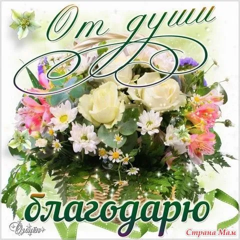 Картинки и гифки "Спасибо" красивые и прикольные. Картинки с надписями Спасибо