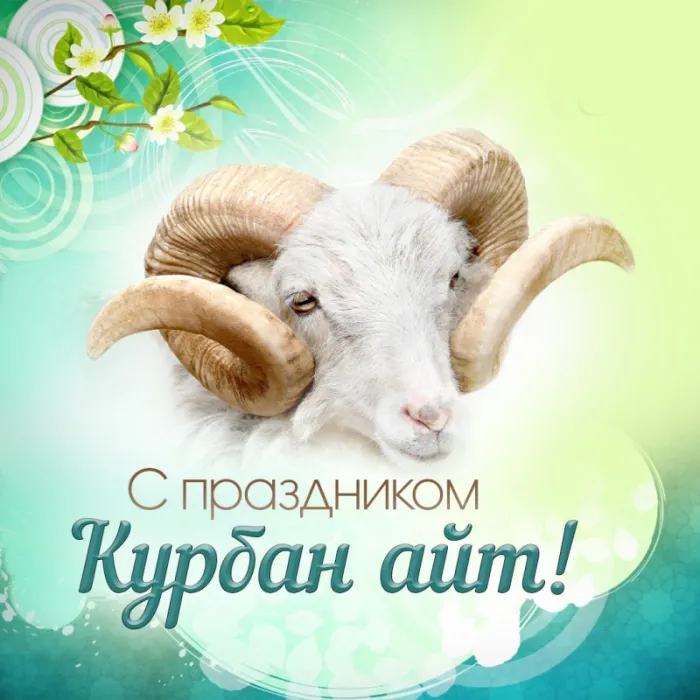Красивые картинки с Курбан-Байрам 2024. Картинки с праздником Курбан байрам