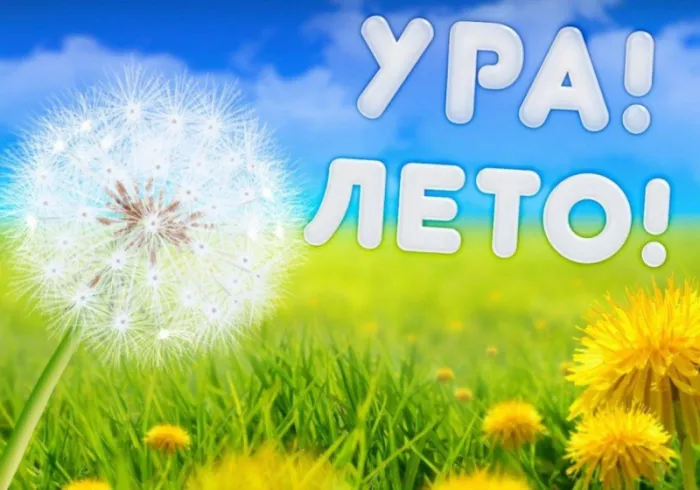 Картинки с началом лета. Картинки с началом лета