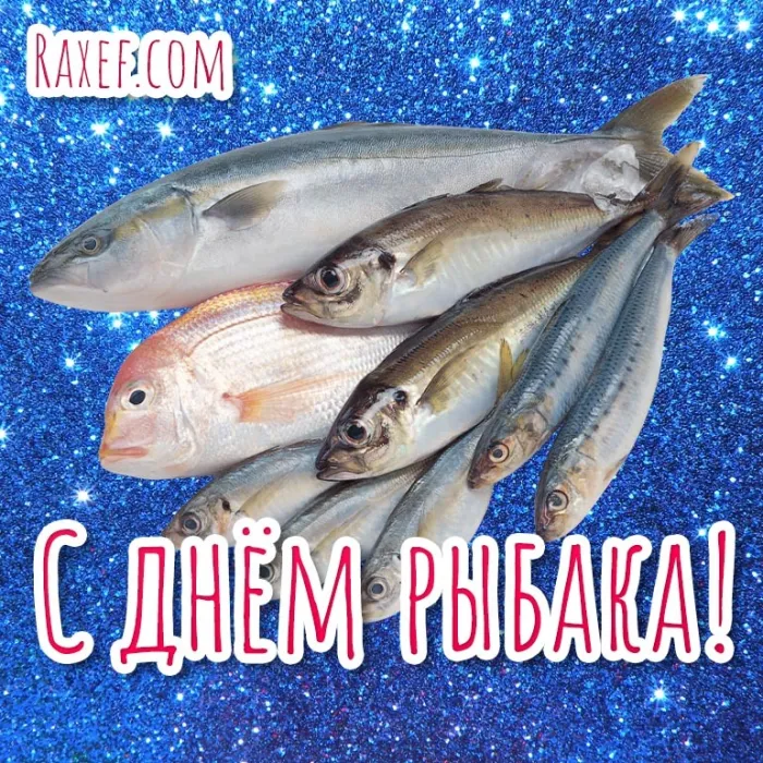 Картинки с Международным Днем рыбака (50 открыток). Прикольные картинки на День рыбака