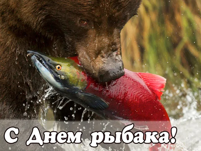 Картинки с Международным Днем рыбака (50 открыток). Прикольные картинки на День рыбака
