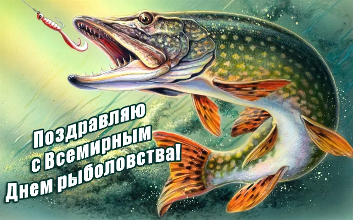 Картинки с Международным Днем рыбака (50 открыток). С Днем рыбакак - картинки красивые