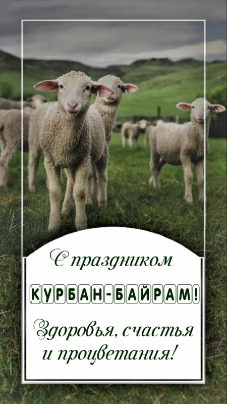 Картинки с праздником Курбан Байрам (160 открыток). Картинки с Курбан-байрам красивые и новые