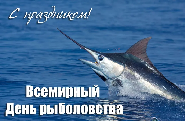 Картинки с Международным Днем рыбака (50 открыток). С Днем рыбакак - картинки красивые