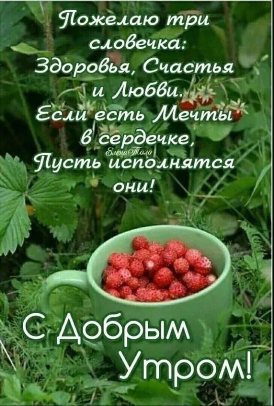Картинки и открытки "С Добрым утром июля". Доброе утро июня - картинки с пожеланиями