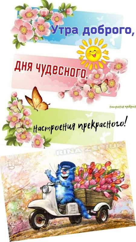 Летние картинки "Доброе утро" (70+ фото). Летние картинки "Доброе утро" (красивые и новые)