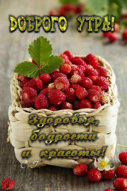 Картинки и открытки "С Добрым утром июля". Доброе утро июня - картинки с пожеланиями