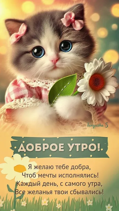 Летние картинки "Доброе утро" (70+ фото). Летние картинки "Доброе утро" (красивые и новые)