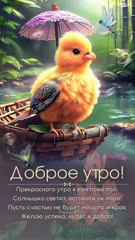 Картинки "Доброе утро" красивые и позитивные. Картинки Доброе утро позитивные и прикольные