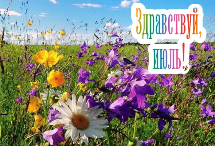 Картинки с первым днем июля (75 открыток). Макушка лета