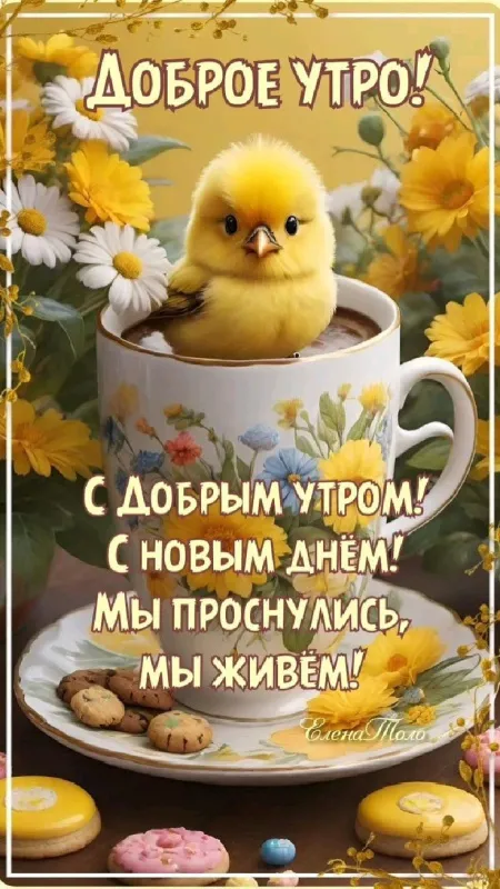 Картинки и открытки "С Добрым утром июля". Доброе утро июня - картинки с пожеланиями