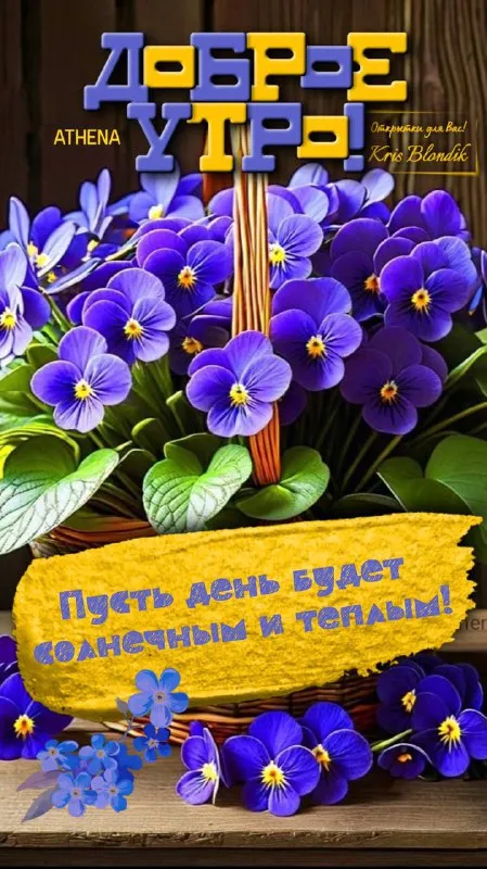 Картинки "Доброе утро" красивые и позитивные. Красивые и позитивные картинки Доброе утро