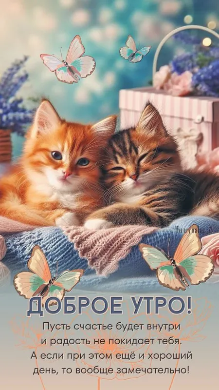 Картинки "Доброе утро" красивые и позитивные. Красивые и позитивные картинки Доброе утро