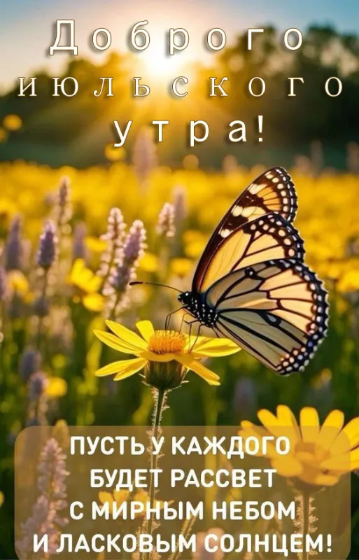 Картинки и открытки "С Добрым утром июля". С добрым утром - картинки июльские