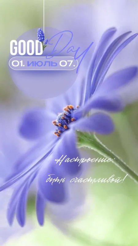Картинки с первым днем июля (75 открыток). Красивые открытки