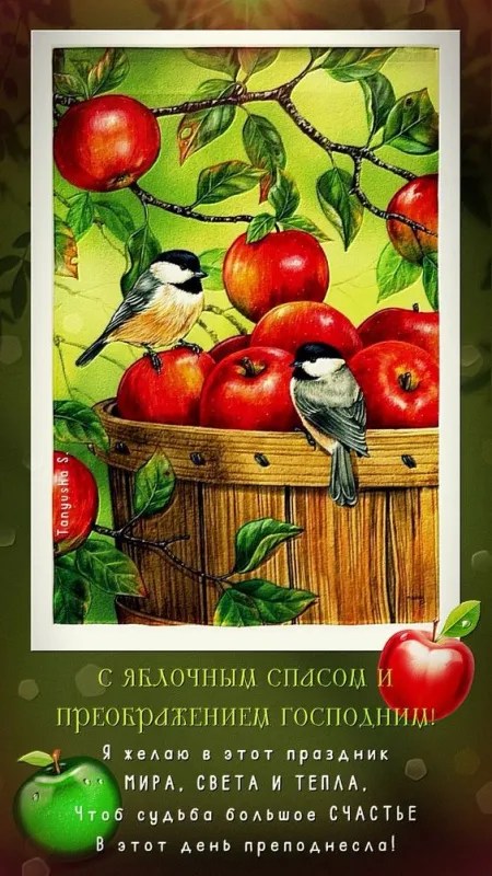 Картинки с Яблочным Спасом (60 открыток). Красивые картинки "С Яблочным Спасом" вертикальные