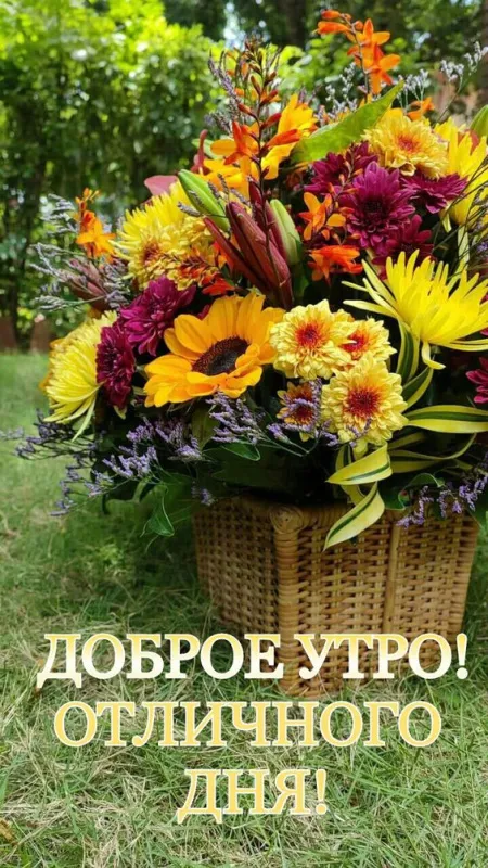 Картинки С добрым утром августа. Красивые картинки Доброе утро августа