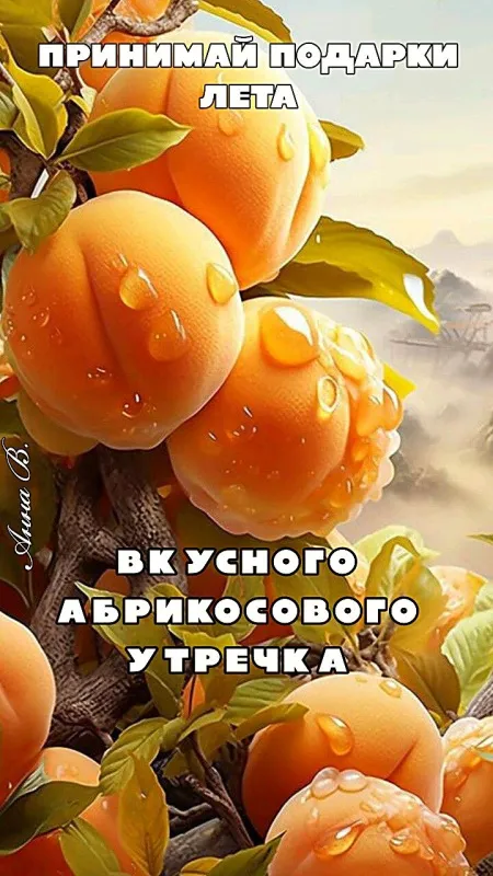 Картинки С добрым утром августа. Красивые картинки Доброе утро августа