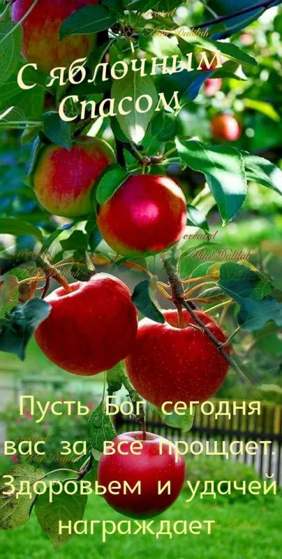 Картинки с Яблочным Спасом (60 открыток). Красивые картинки "С Яблочным Спасом" вертикальные