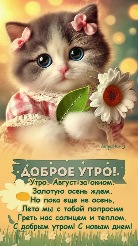 Картинки С добрым утром августа. Красивые картинки Доброе утро августа