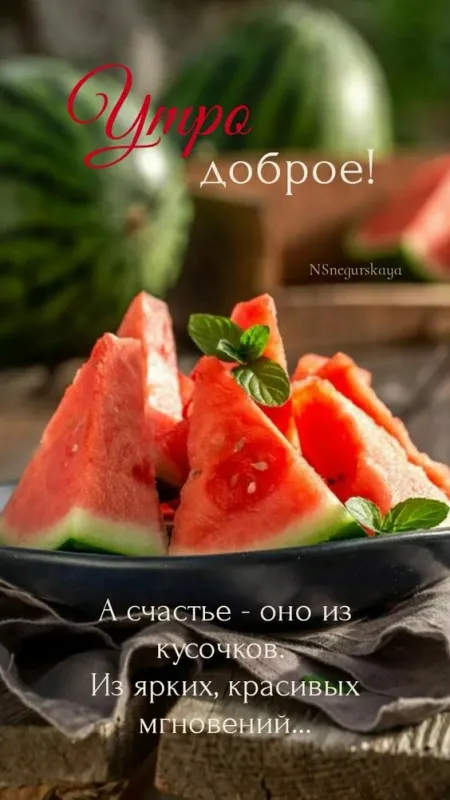 Картинки С добрым утром августа. Доброе утро августа - картинки с арбузом