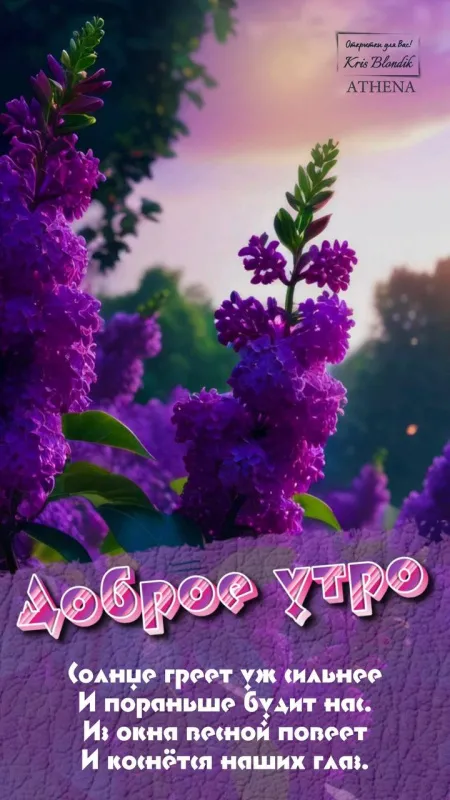 Картинки С добрым утром августа. Картинки Доброе утро в августе