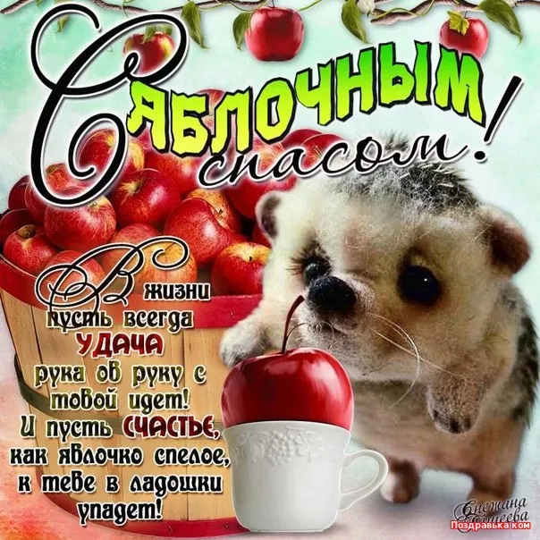 Картинки с Яблочным Спасом (60 открыток). Прикольные картинки на Яблочный Спас