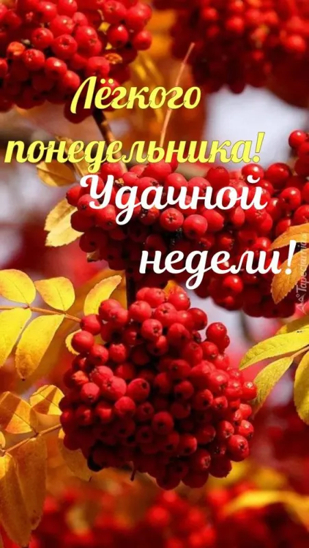 Картинки "Доброе утро понедельника". Красивые картинки Доброго утра понедельника