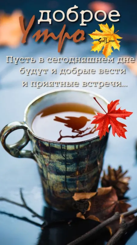 Картинки Доброе осеннее утро .