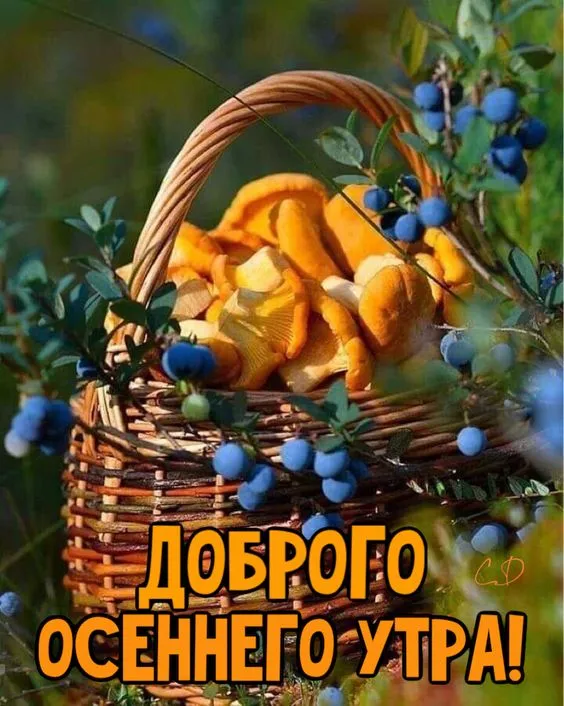 Картинки Доброе осеннее утро . Картинки с пожеланием доброго осеннего утра