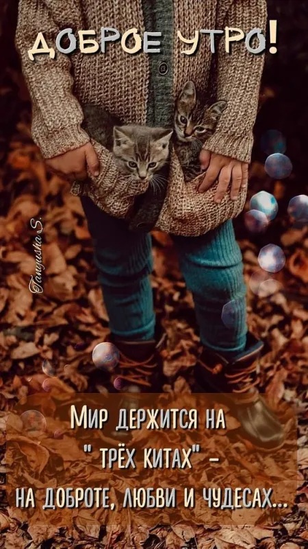 Картинки Доброе осеннее утро . Красивые картинки "С добрым осенним утром"