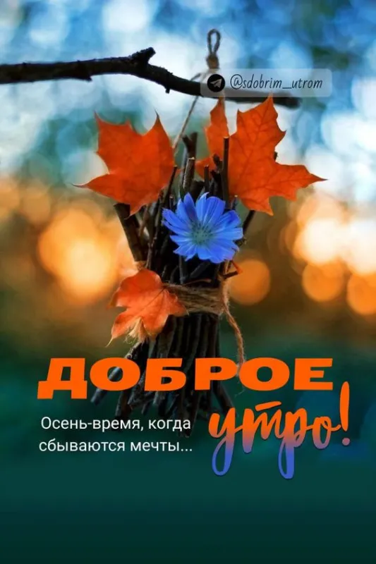 Картинки Доброе осеннее утро .