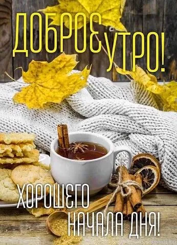 Доброе утро сентября 2024. Доброе утро сентября - картинки осенние
