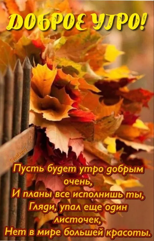 Картинки Доброе осеннее утро . Картинки с пожеланием доброго осеннего утра