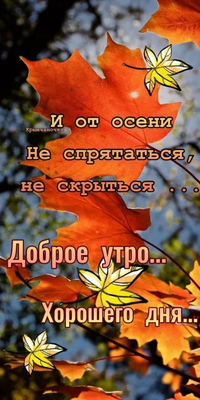 Доброе утро сентября 2024. Доброе утро сентября - картинки с пожеланиями