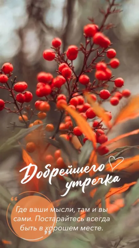 Картинки Доброе осеннее утро . Картинки с пожеланием доброго осеннего утра
