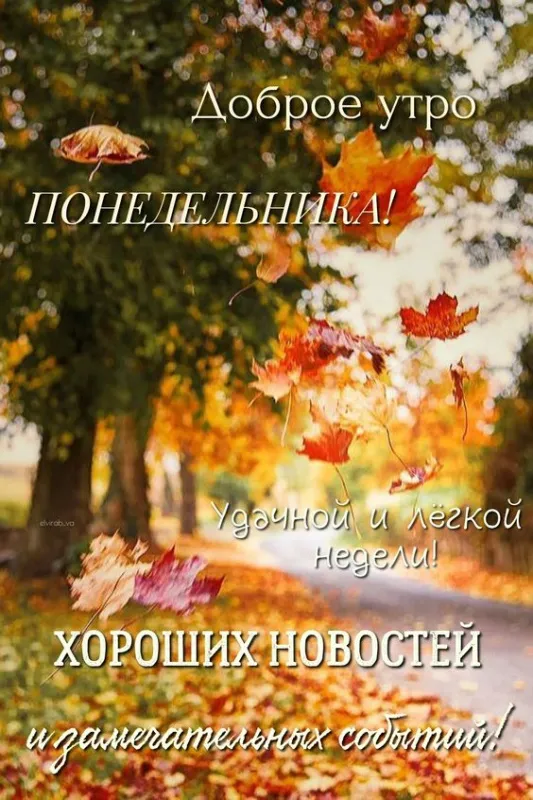 Картинки "Доброе утро понедельника". Красивые картинки Доброго утра понедельника
