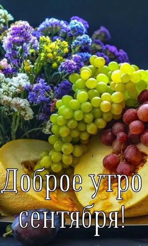 Доброе утро сентября 2024. Красивые картинки с добрым утром сентября