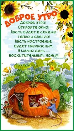 Картинки Доброе осеннее утро .