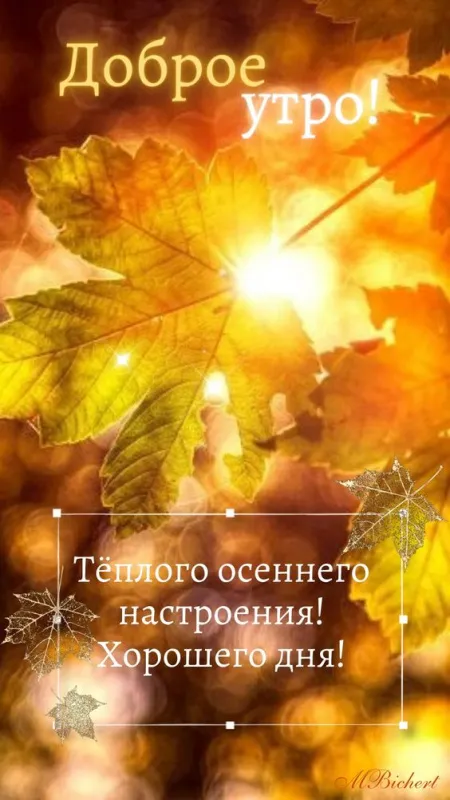 Картинки Доброе осеннее утро . Картинки с пожеланием доброго осеннего утра
