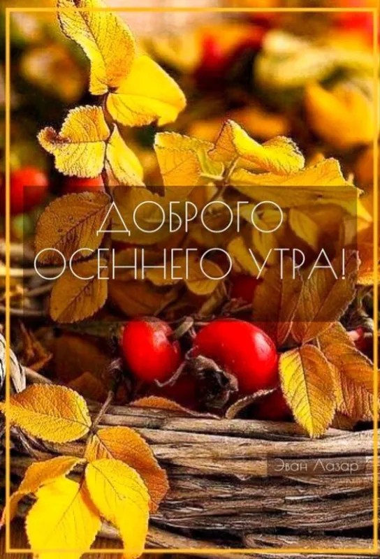 Доброе утро сентября 2024. Доброе утро сентября - картинки осенние