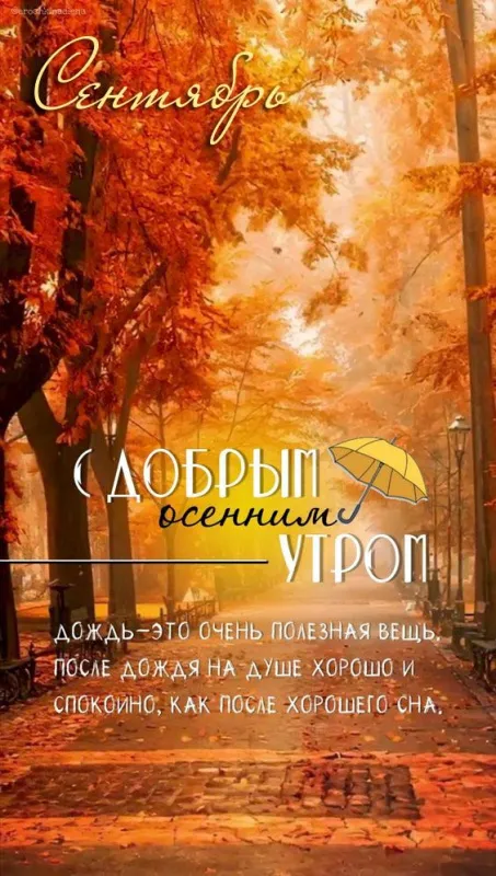 Доброе утро сентября 2024. Красивые картинки с добрым утром сентября