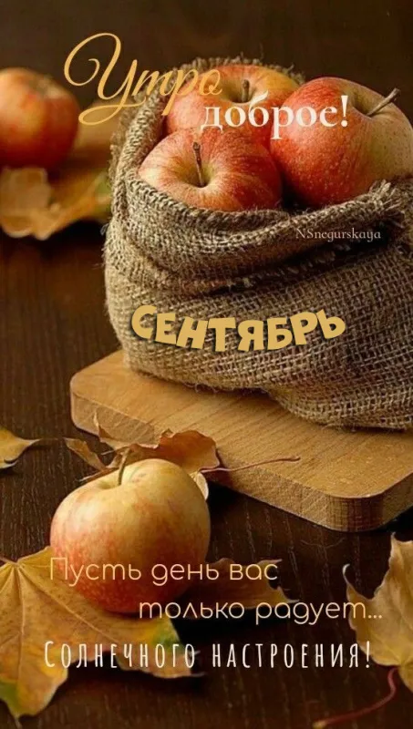 Доброе утро сентября 2024. Доброе утро сентября - картинки с пожеланиями